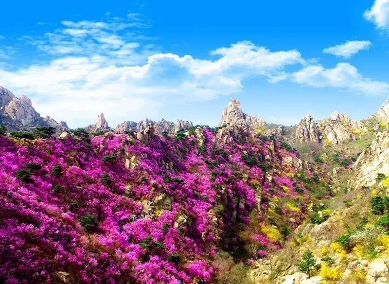 山钢地产&middot;悦和山海