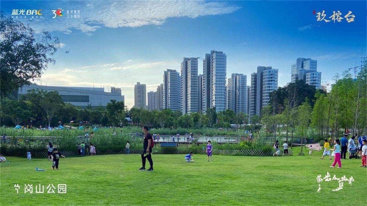 蓝光玖榕台