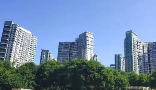 新城国际