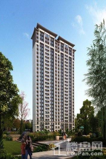 建发央著