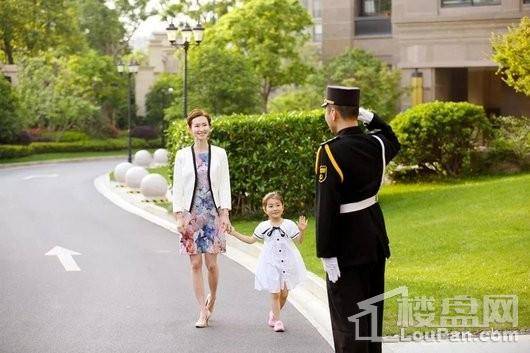 盛世卧龙城