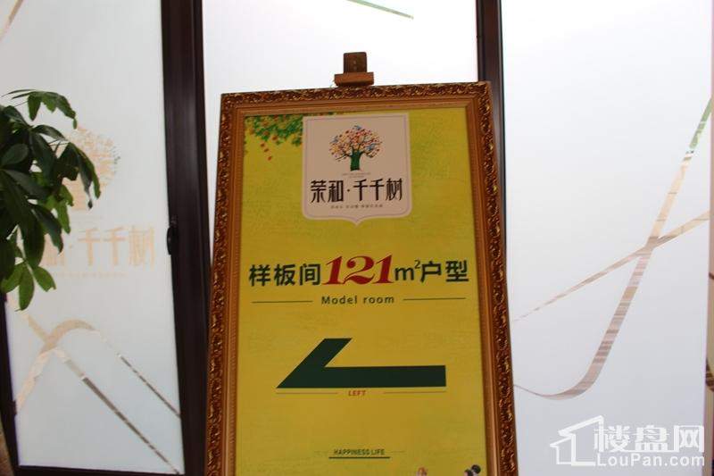 荣和千千树