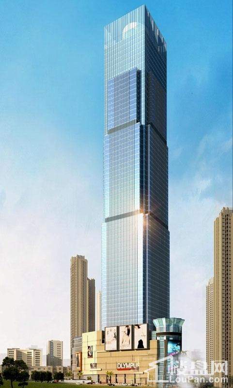 广西九洲国际