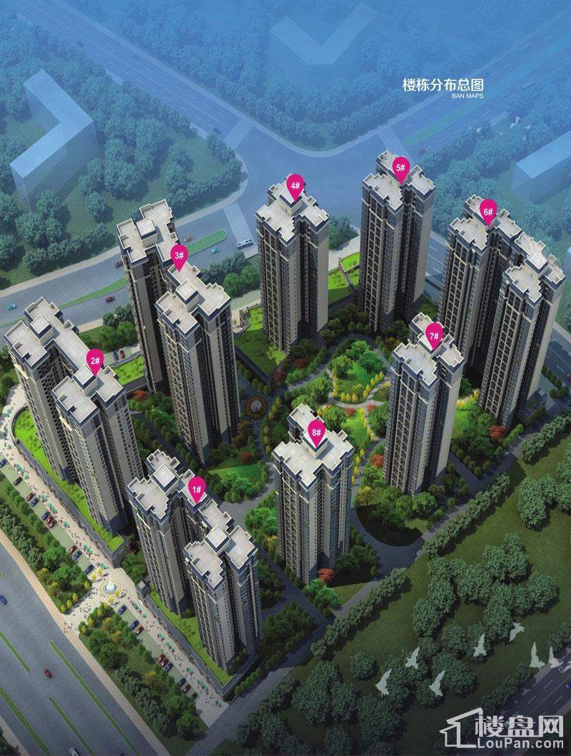 龙岗大唐果