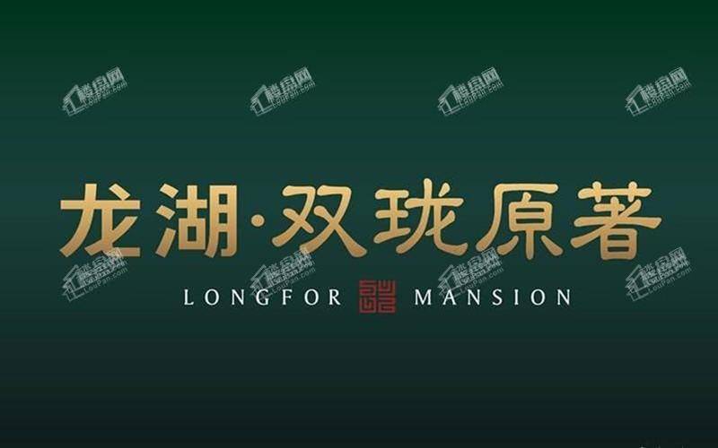 龙湖双珑原著