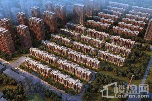 中粮隆玺祥云