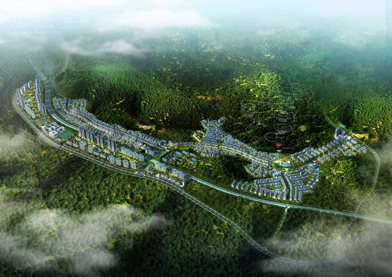 星华柏樾龙山
