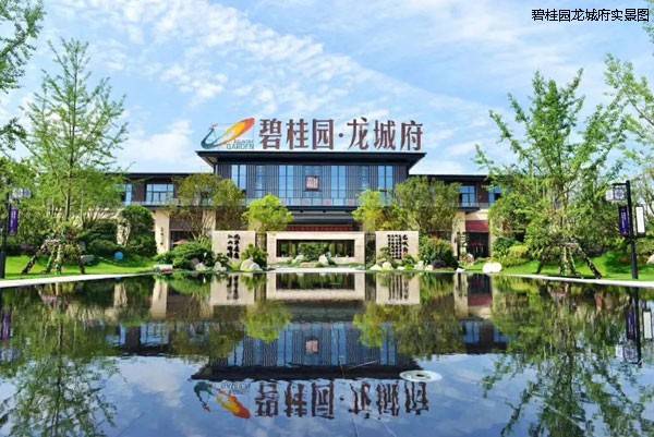 碧桂园龙城府