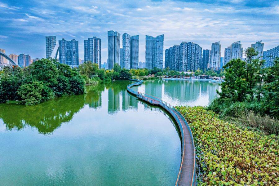 红树湾