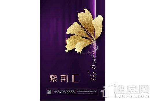 紫荆汇