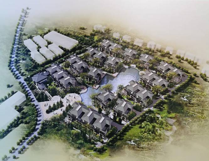 新城九鲤江南