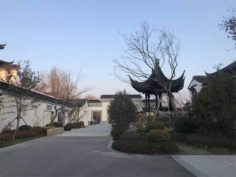 桃李春风