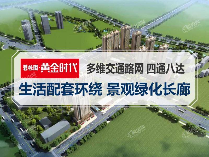 碧桂园黄金时代