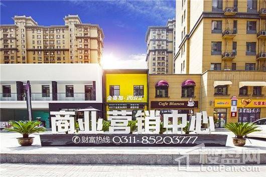 金麦加西北汇