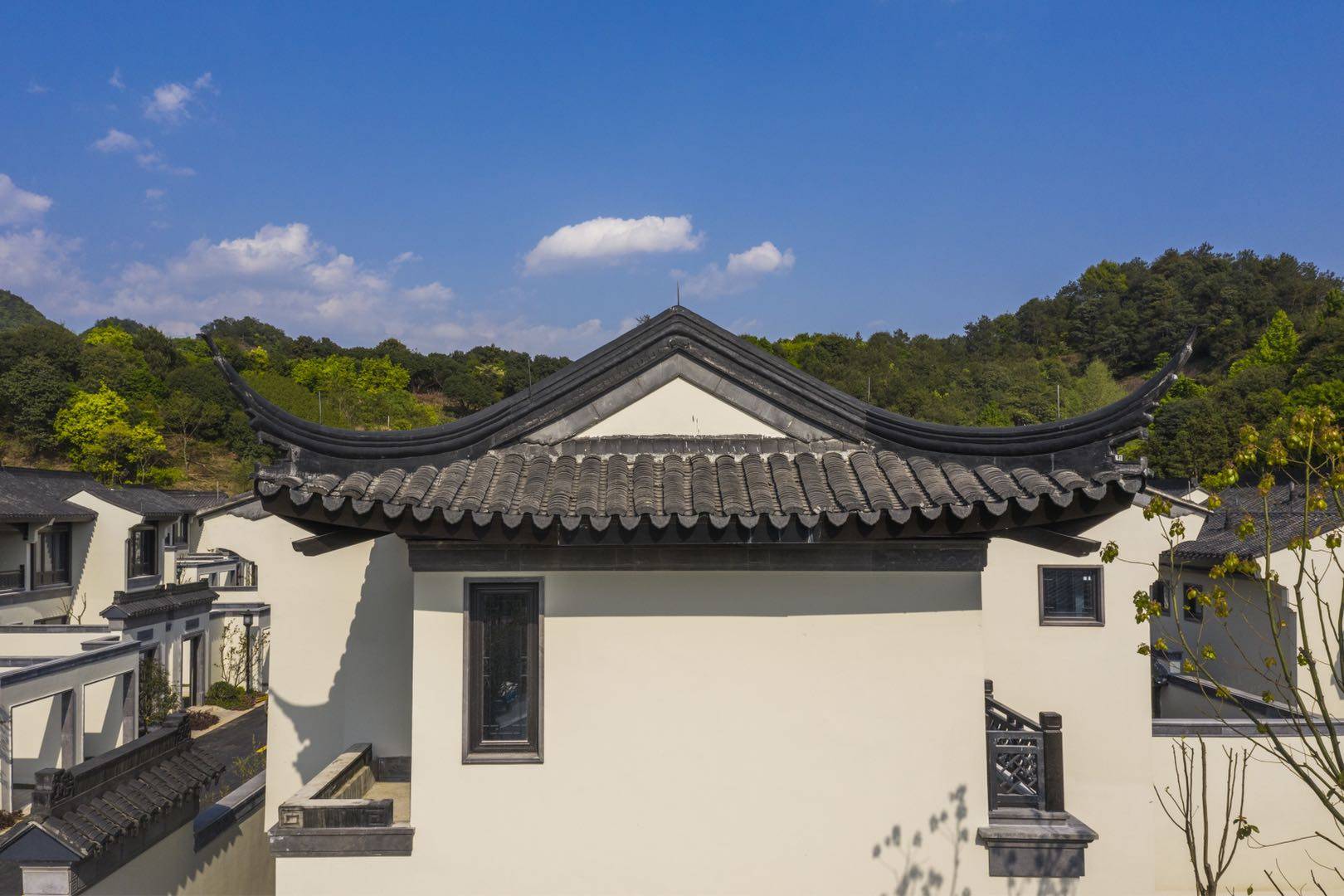 桃李一品