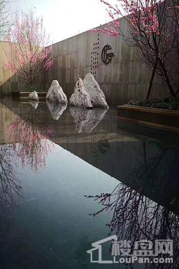 天立澜悦府