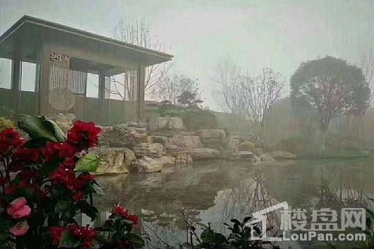 天立澜悦府