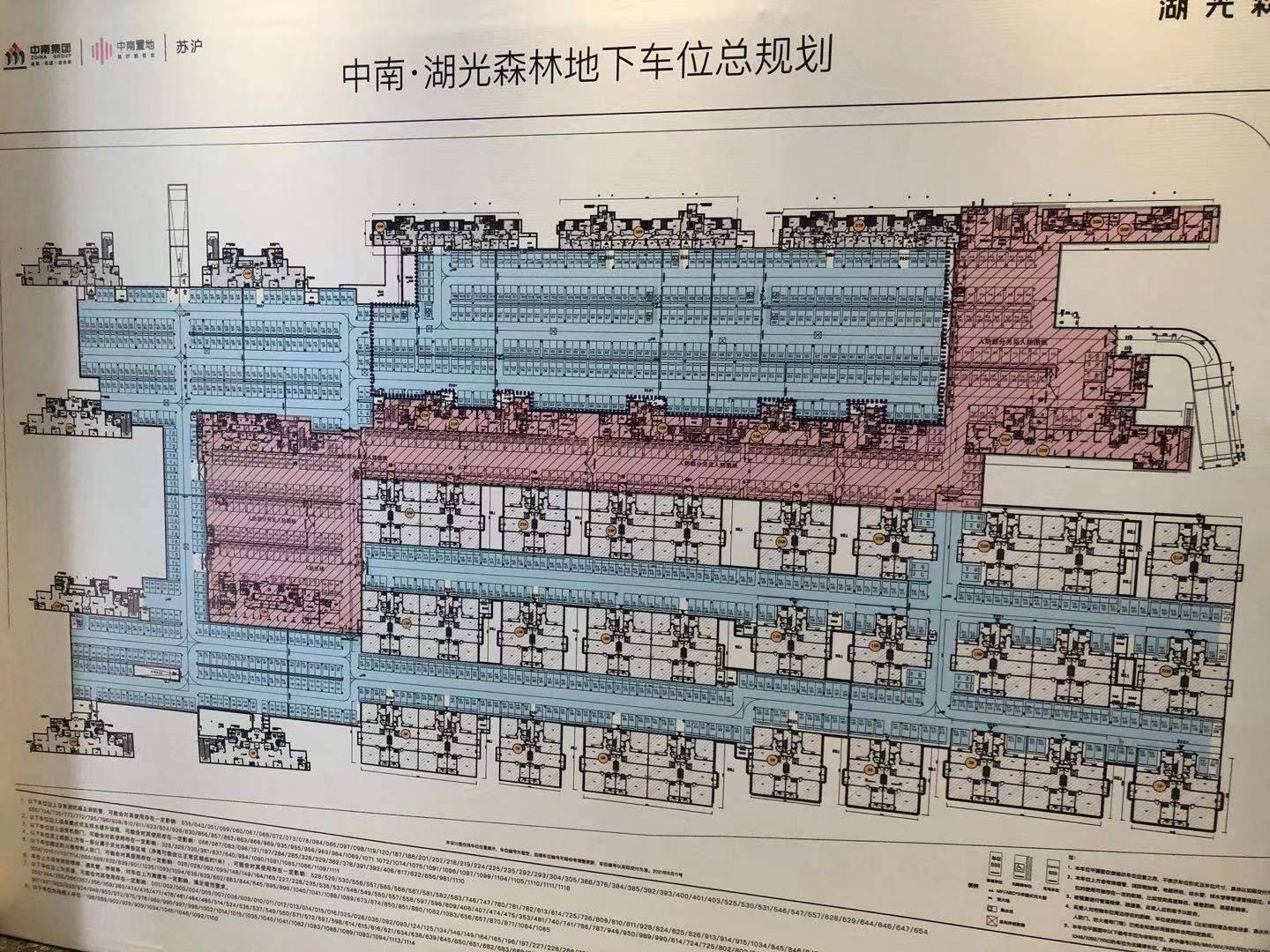 中南湖光森林