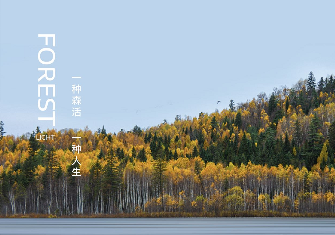 中南湖光森林