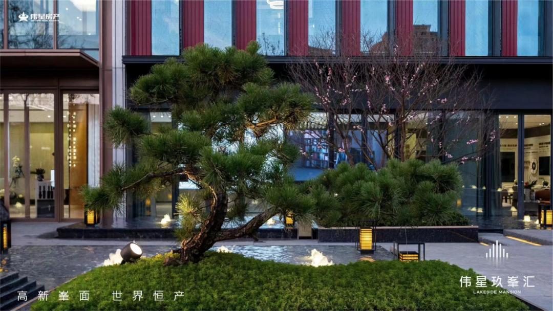 伟星玖峯汇