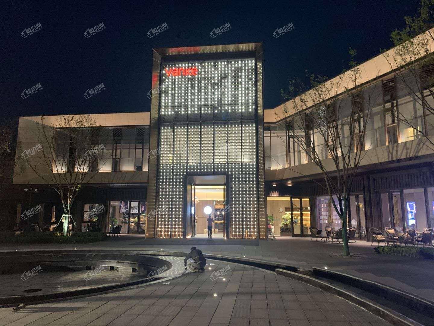 万科海上明月