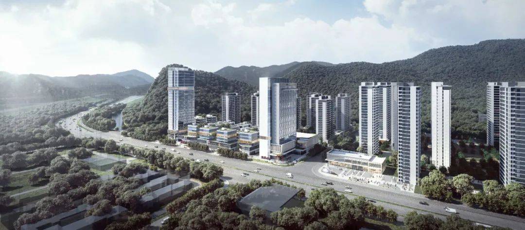 大华峰汇华城