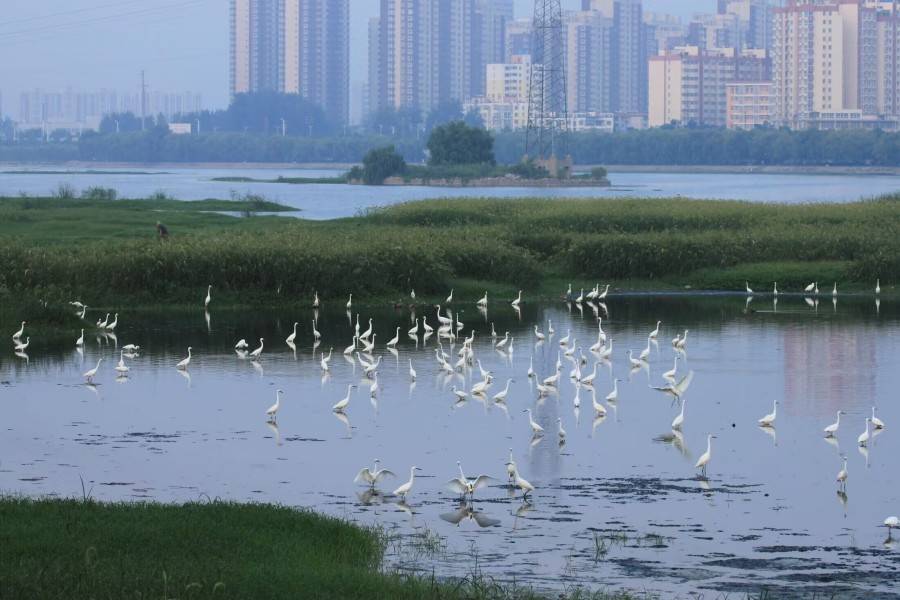 建业泓森滨河珑府