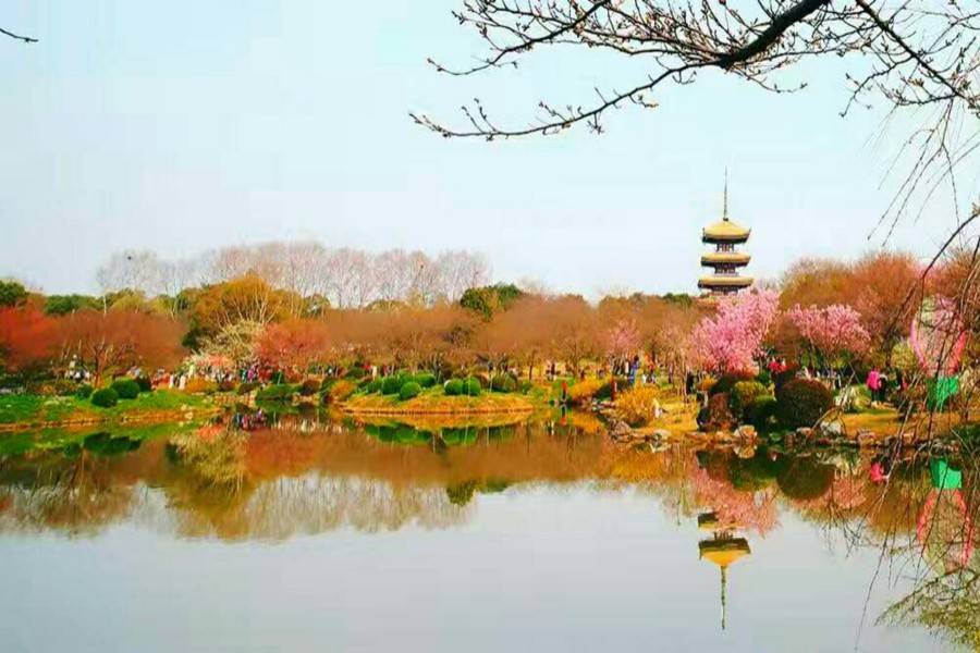 维佳关山郡