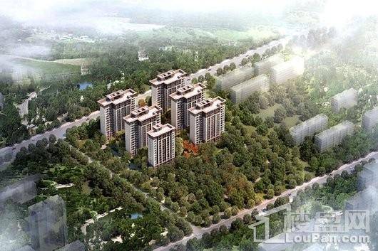 南阳建业公园里