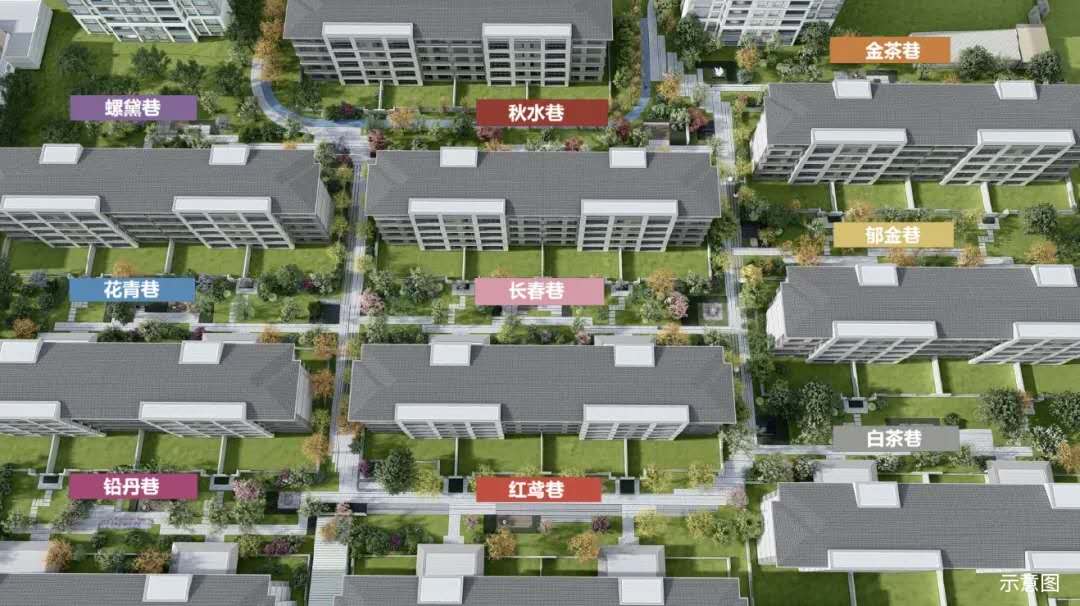 方大长白一品
