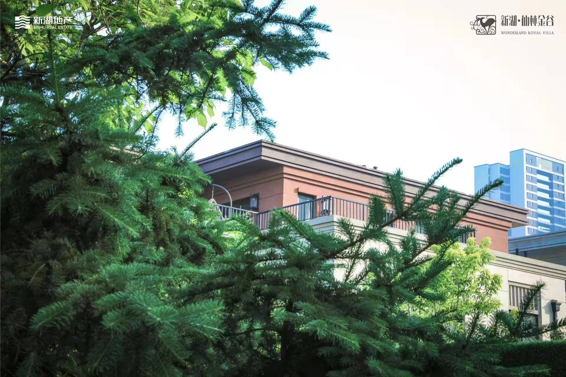 新湖仙林金谷