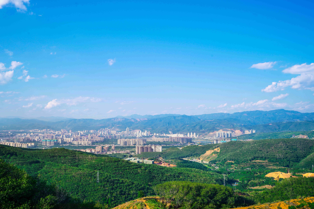 悠然南山