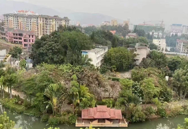 学邻居