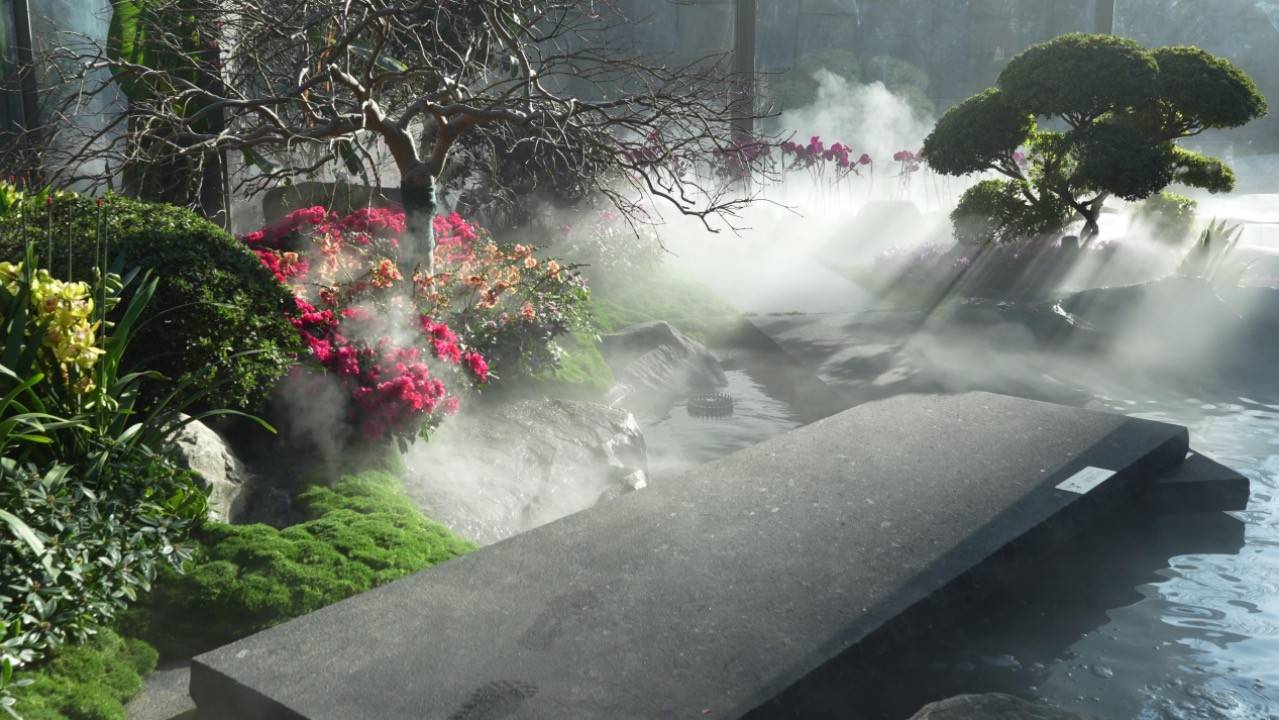 柒星雲境