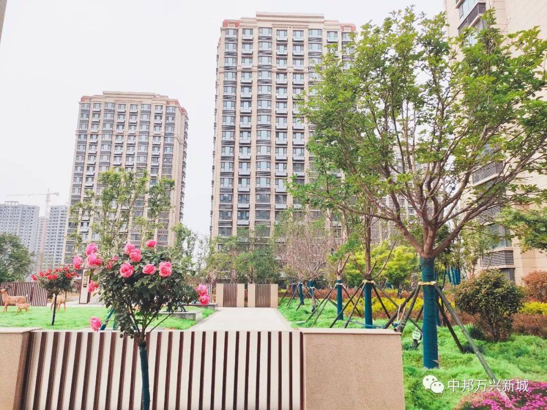 中邦万兴新城