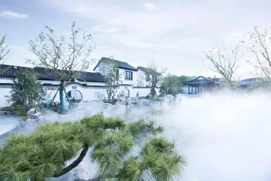 华新春江明月健康小镇