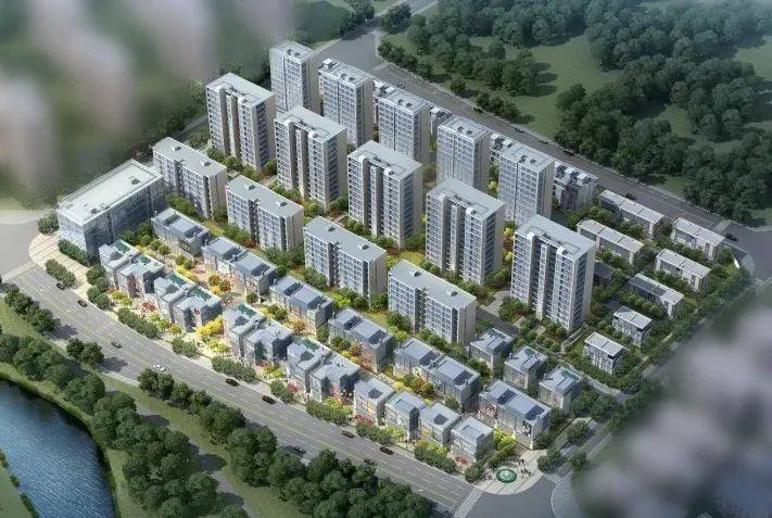 杨帆江山慈悦