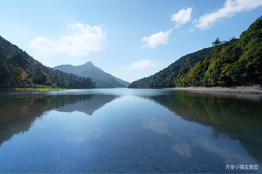 溪上锦棠