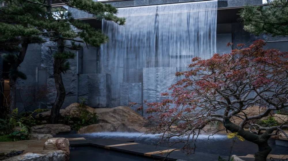 迎龙观月