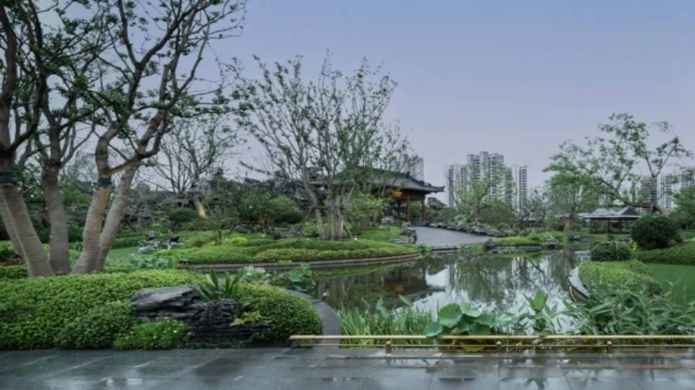 东城红豆东望