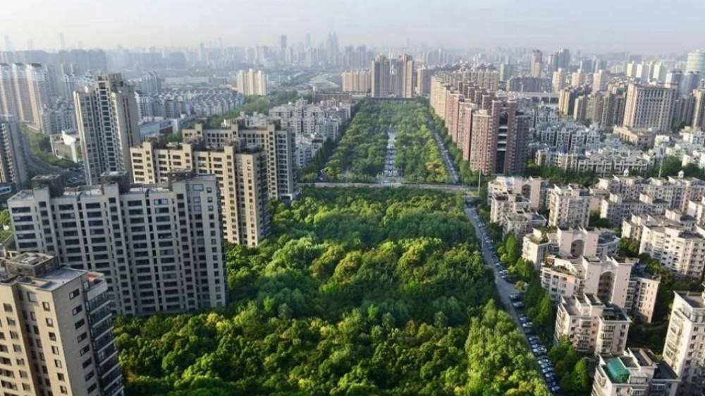 中鹰黑森林