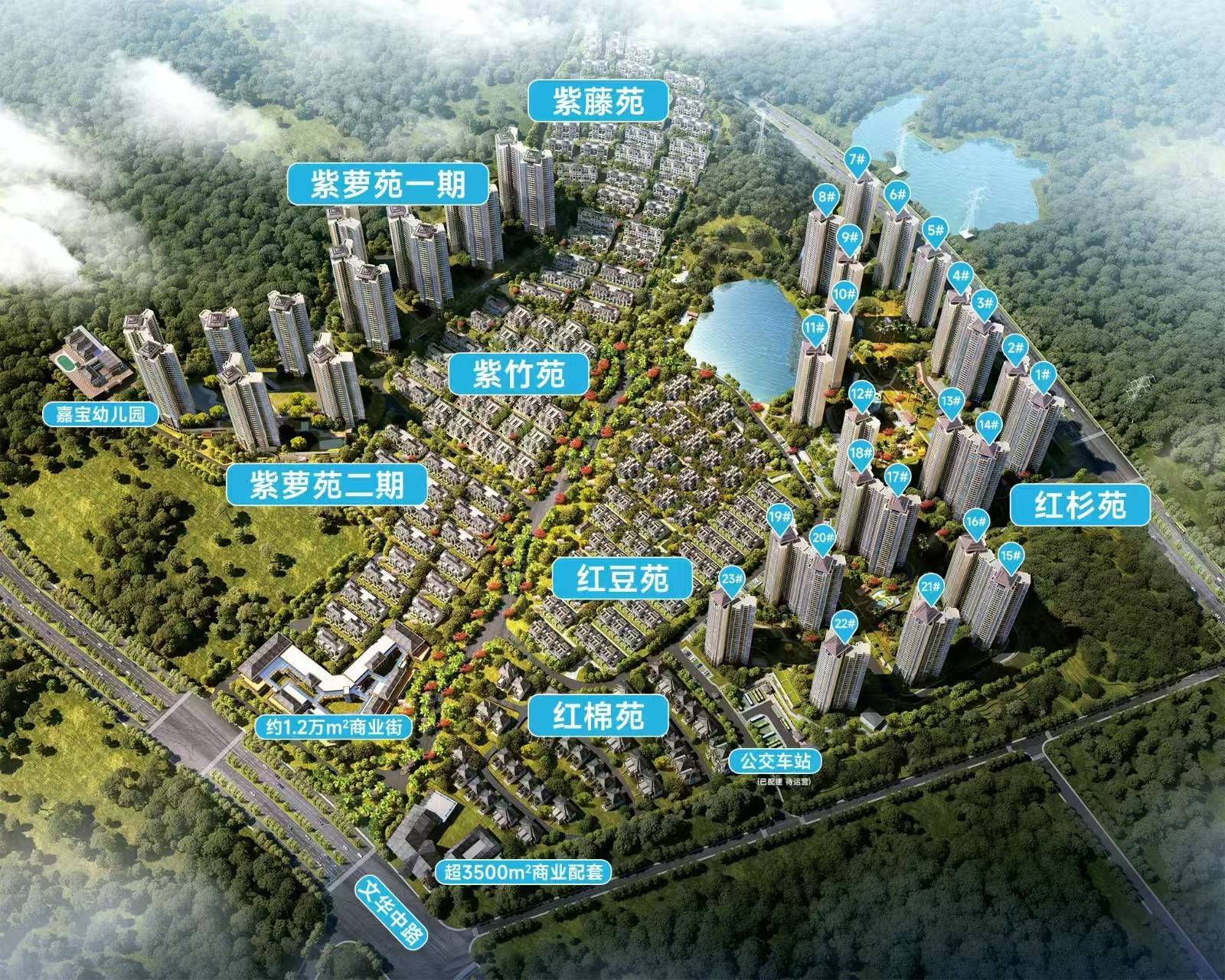华发观山水