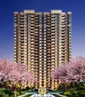 光明金山府