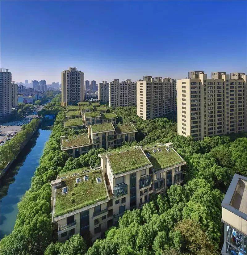 中鹰黑森林