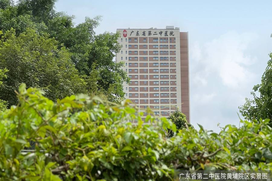 星河臻华府