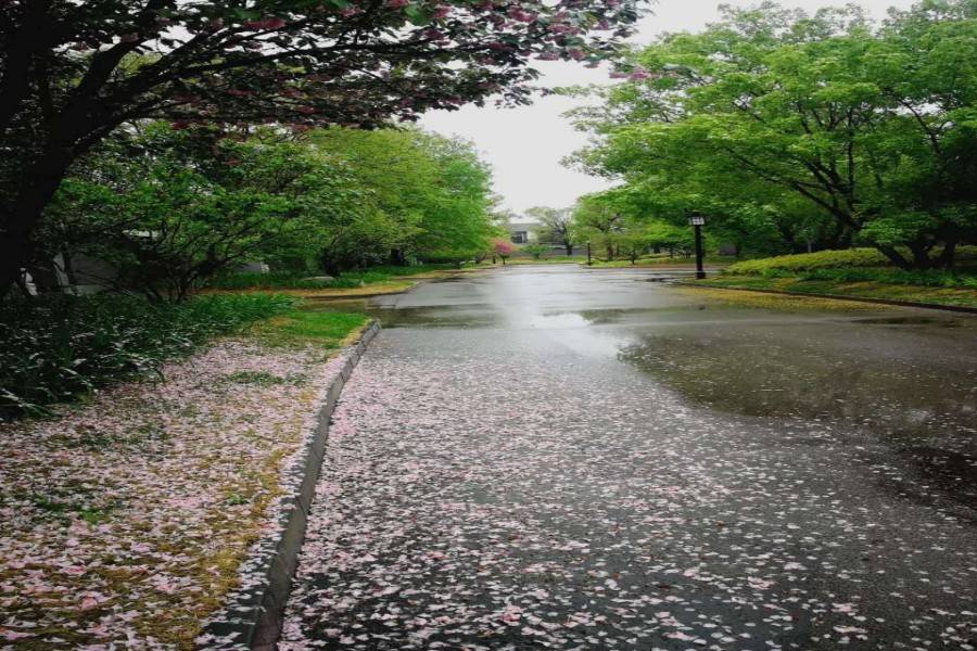 京都颐和城