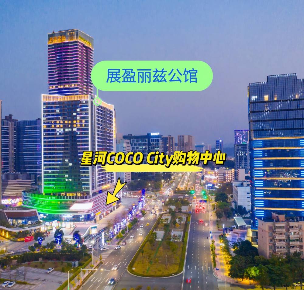 展盈丽兹公馆