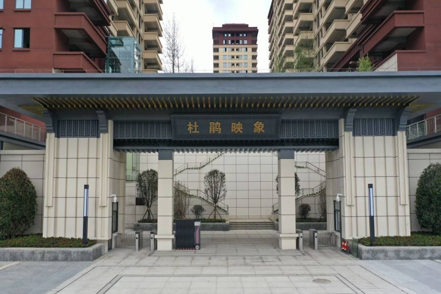 华辰杜鹃映象