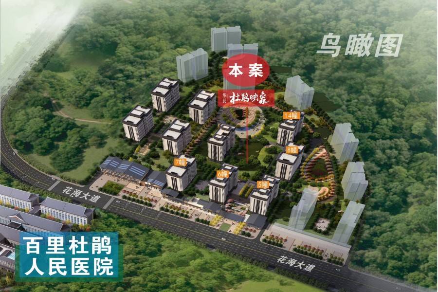 华辰杜鹃映象