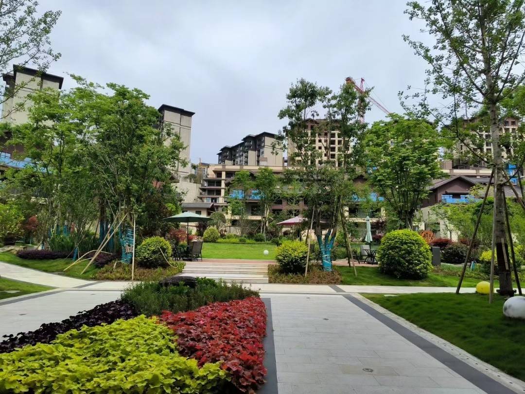 杜鹃花城